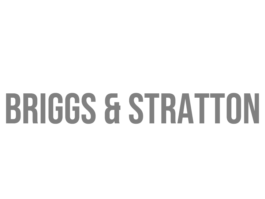 FIT BRIGGS & STRATTON